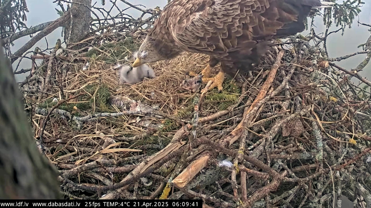 vlcsnap-2025-04-21-07h29m24s725