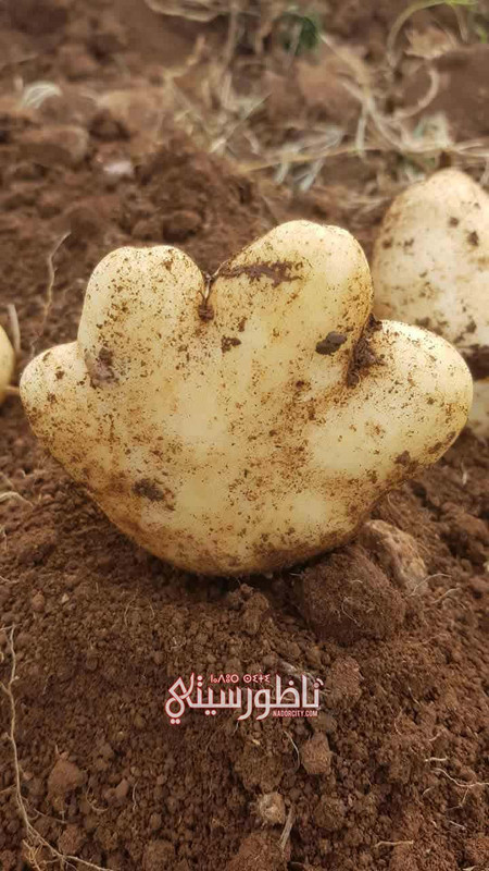 6d6956c5-55c5-4b3b-a377-1785c9124672