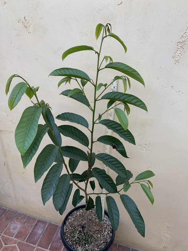 7408FAD4-DCFE-436A-B374-E039EAFD7360