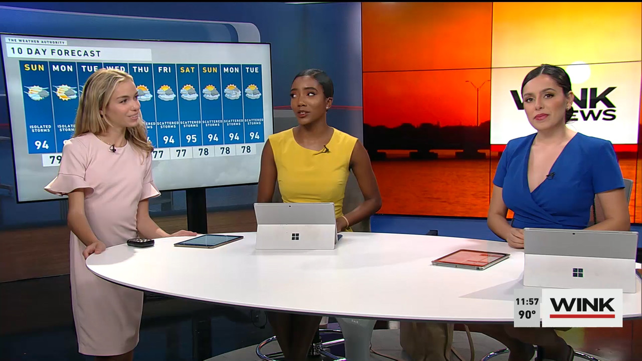 07.23 - 16.30.00 - WINK NEWS at 11 30am. Midday news..ts_snapshot_33.41.053