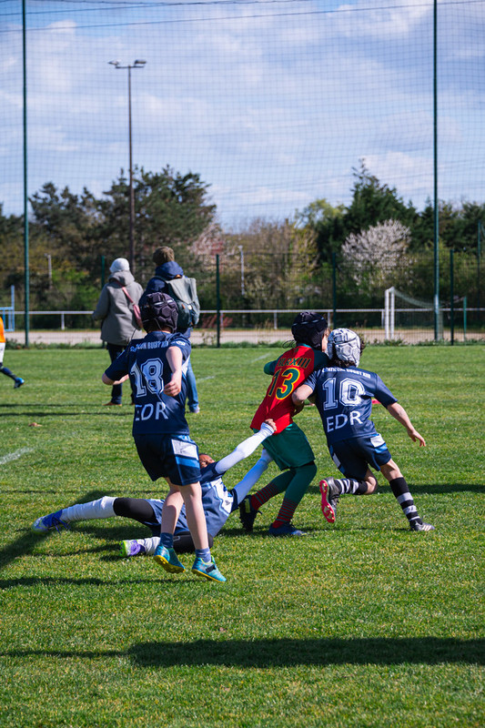 tournoi-de-latlantique-2026-adonis-griffon-177-55181538494-l