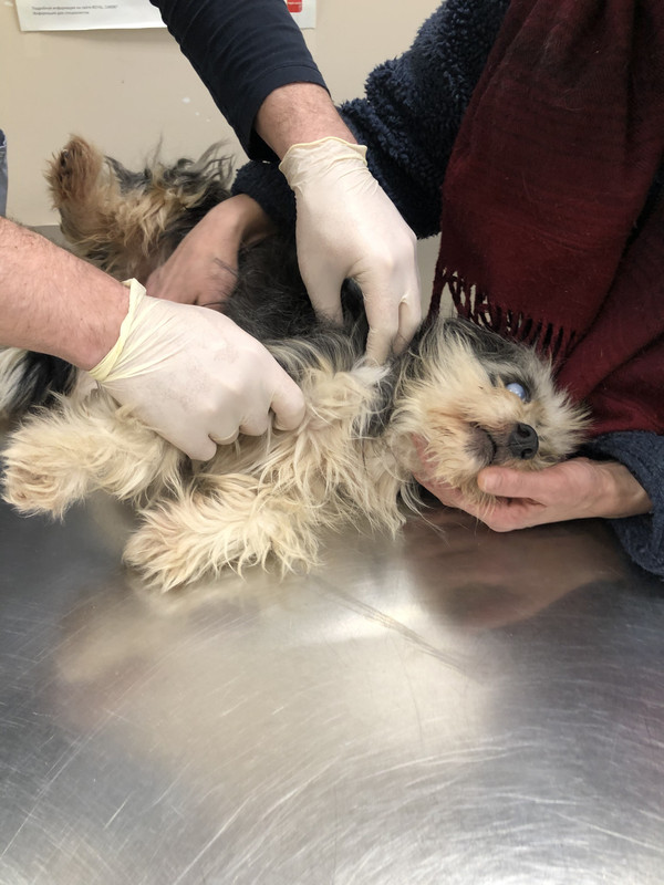 4E38F2DC-EBA2-4B70-8C6B-08D3A8D96C9E