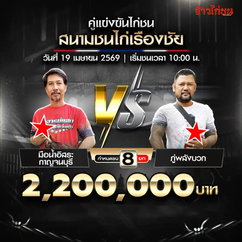 มือน้ำอิสระ กาญจนบุรี vs ภู่พลังบวก สนามชนไก่เรืองชัย 19 เมษายน 2569