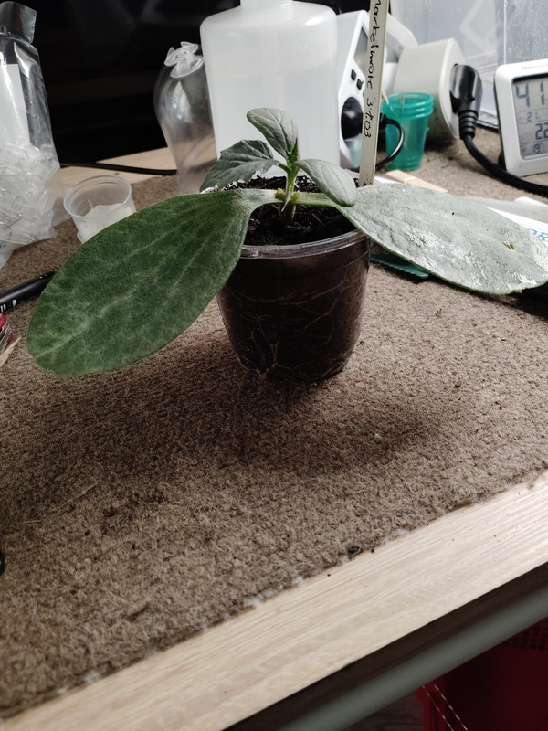 Whats App Image 2026 04 24 at 19 23 19