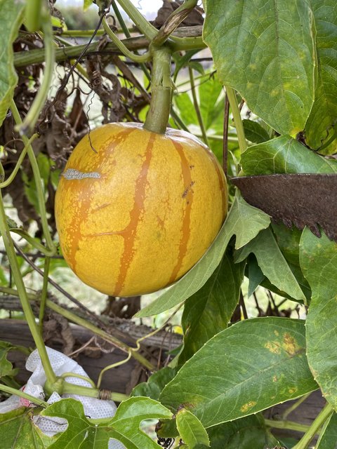 A8ECC5A4-7A79-4F12-BD38-658BE6507905