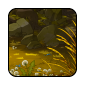 summer-II1.png