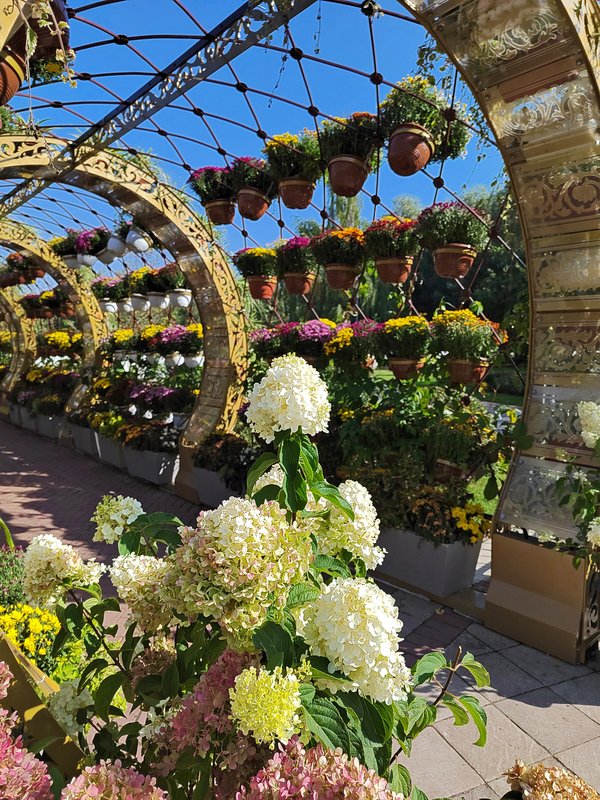 https://i.postimg.cc/HxhvjGRq/04-IMG-20230901-095832.jpg