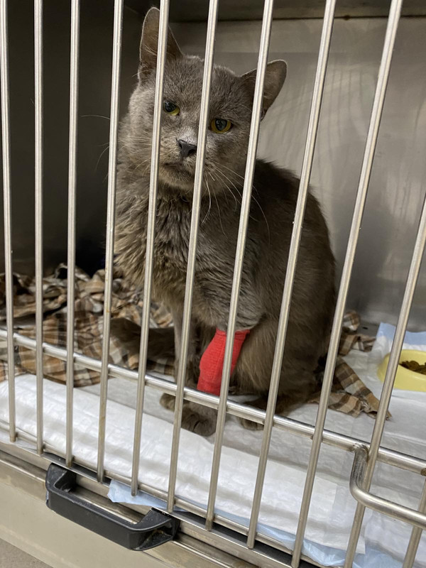 0F197697-BC6F-43F1-8721-8A8CD47A11DE