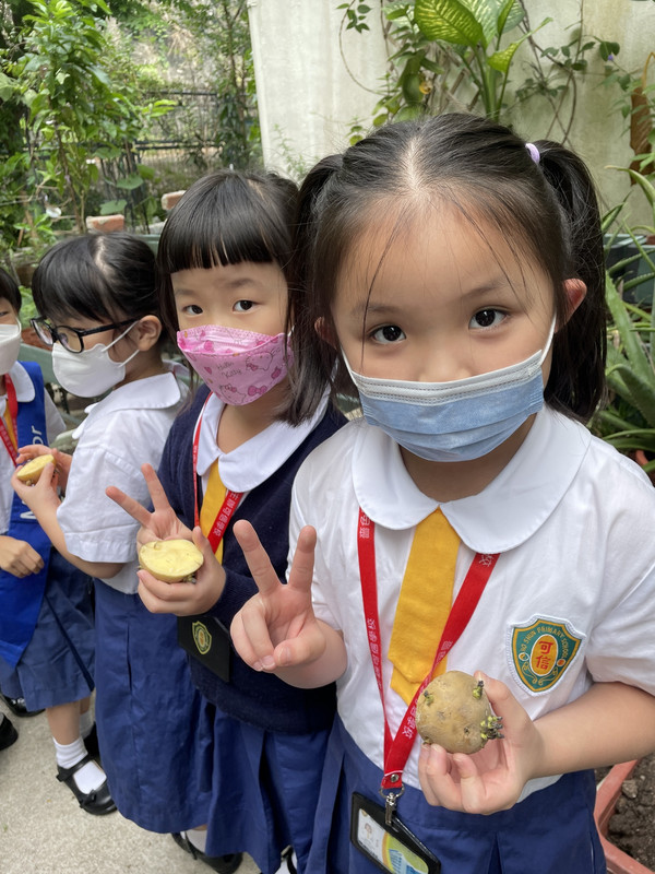 photo-littlefarmer2223-1B-003