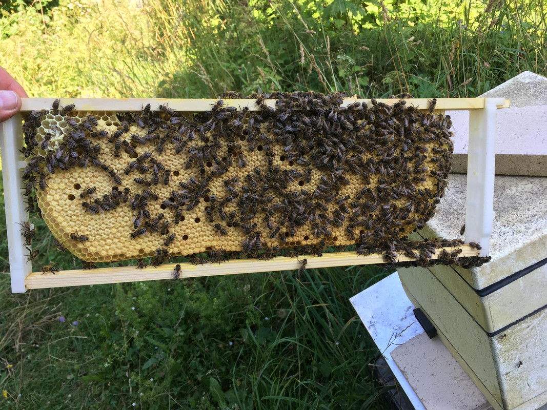 0924D4A2-4BF0-40E7-9BD6-18487202AF76