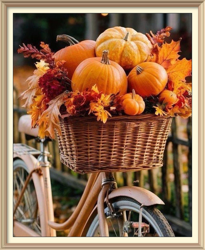 imageedit_20_4222050898