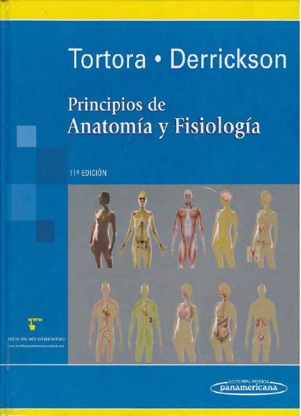 Principios de anatomía y fisiología, 11 Edición - Gerard J. Tortora y Bryan Derrickson (PDF) [VS]