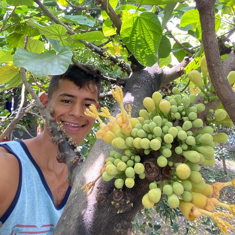 0C0A9BD0-DECD-40ED-BA44-1E55892B4B1E