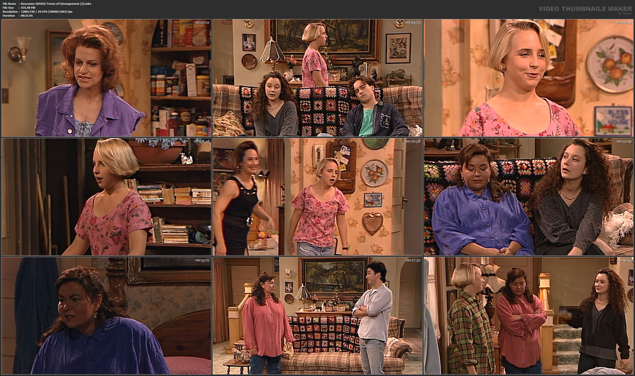Roseanne S05E02 Terms of Estrangement (2).mkv