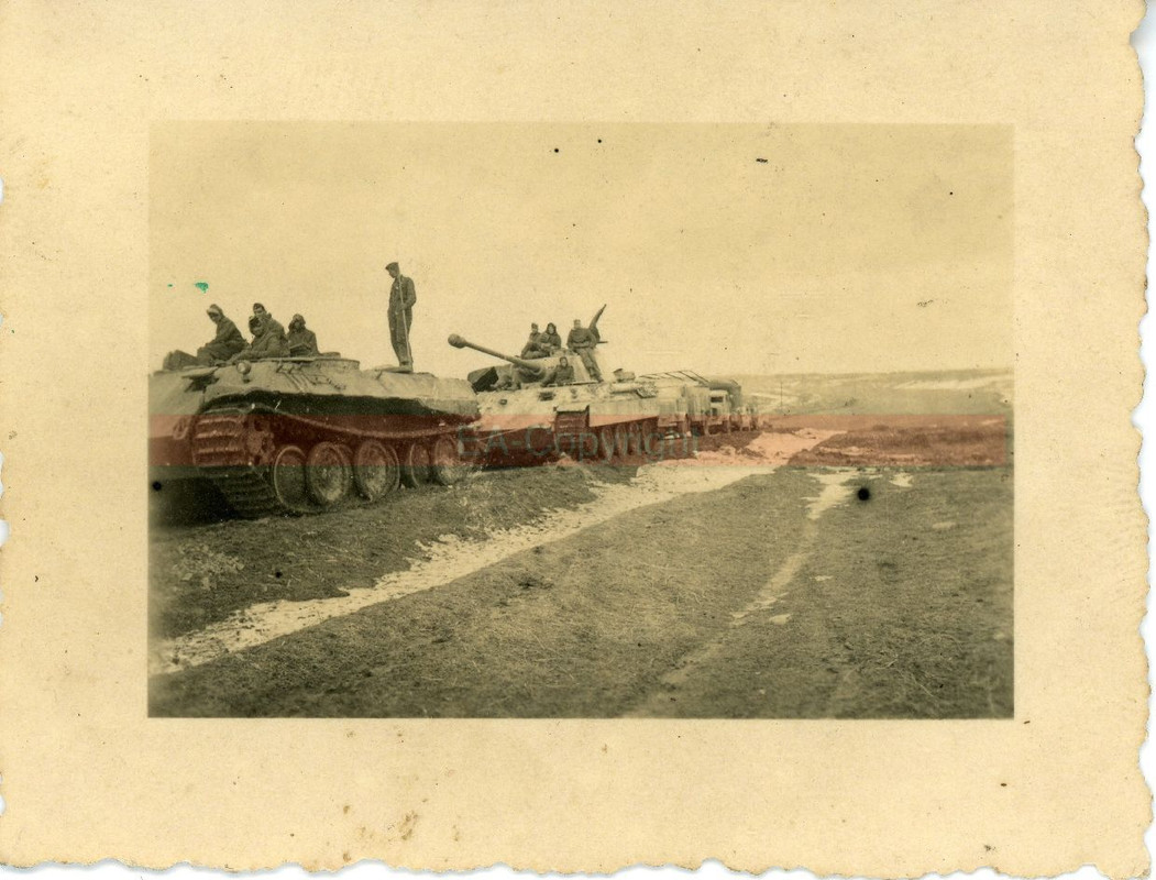 Panther Panzer Tank Kämpfe Bergepanther Bergung 