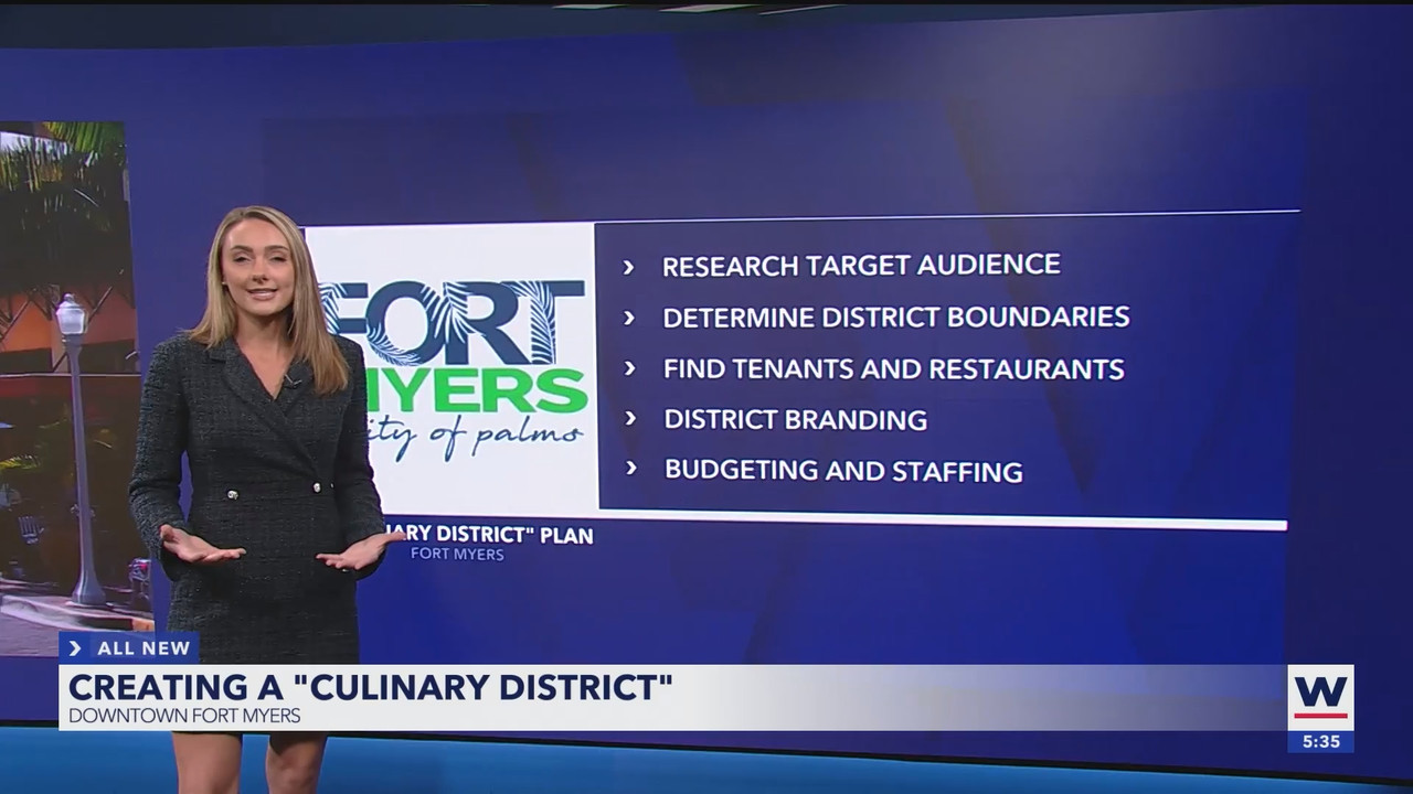 WINK News at 530pm_20250402_22302300.ts_snapshot_07.00.484