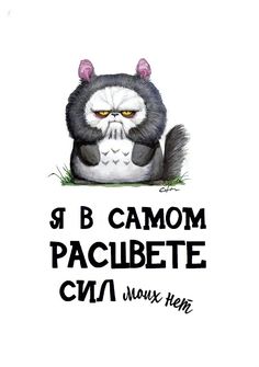 1149454bdb8819179b7fc683b8b756f5.jpg