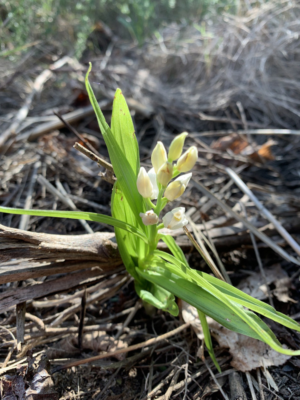 9C1F6ABA-0C13-4110-B7CA-9B32EEC3A80B