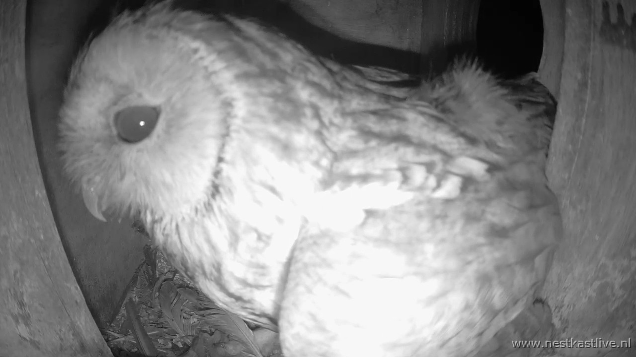 snapshot - 2025-05-08T034314.384