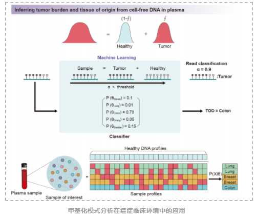 单细胞DNA甲基化研究基础篇：从实验策略到数据分析方法简介-8.png