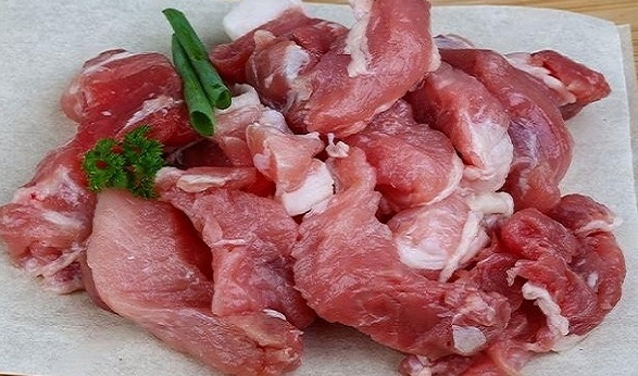 Can Parrots Eat Meat