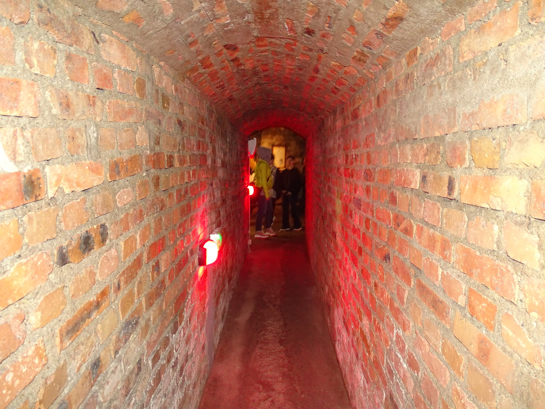 07.04 - DSC01755 (irycki)