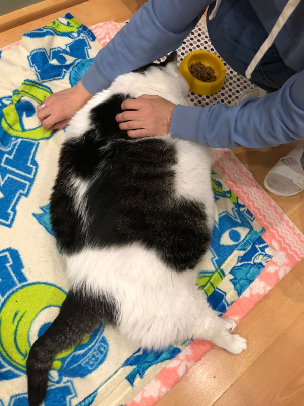 6C727695-989E-4398-A4EF-C1ADB4E5BF31