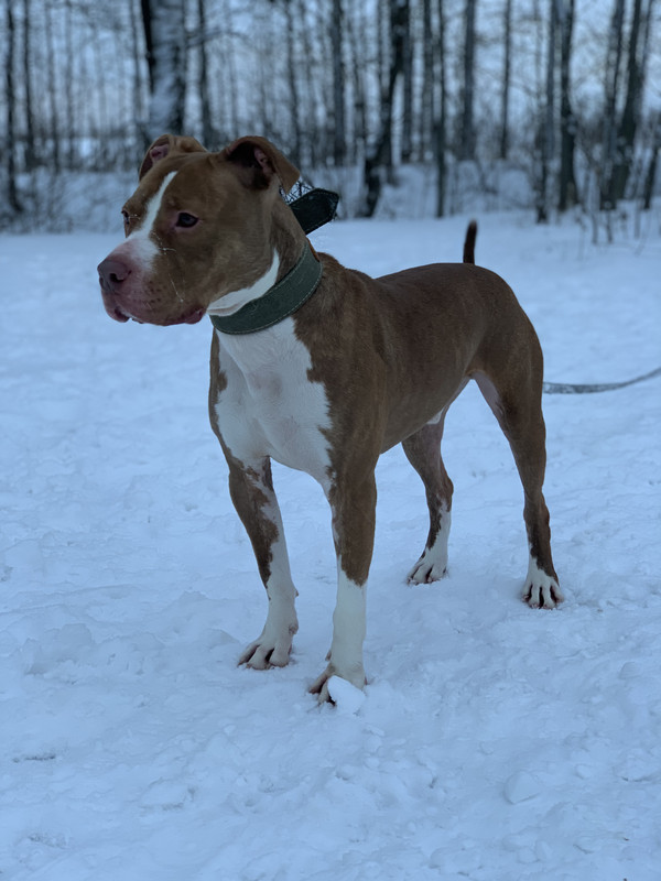 442095F0-BDA8-43D8-B8FD-5C96D9D8550E