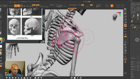 Artstation - Female anatomy for artists