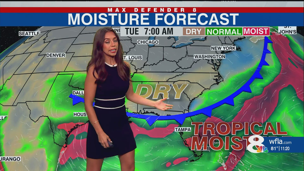 NewsChannel 8 at 11p Saturday_20250824_04000429.ts_snapshot_22.15.702