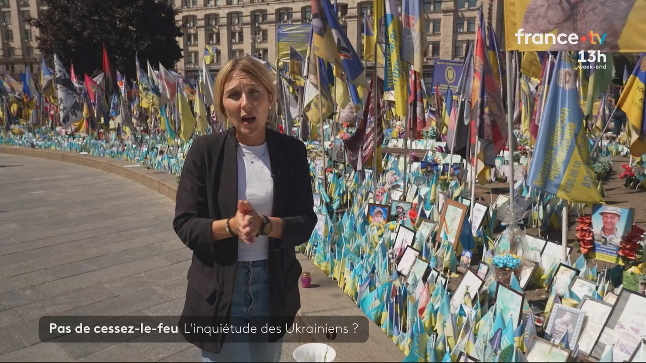 Journal 13h00 (France 2)_2025_08_16_11_55_81.ts_snapshot_08.58.143