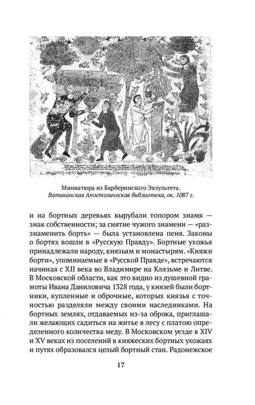 1-page-0013