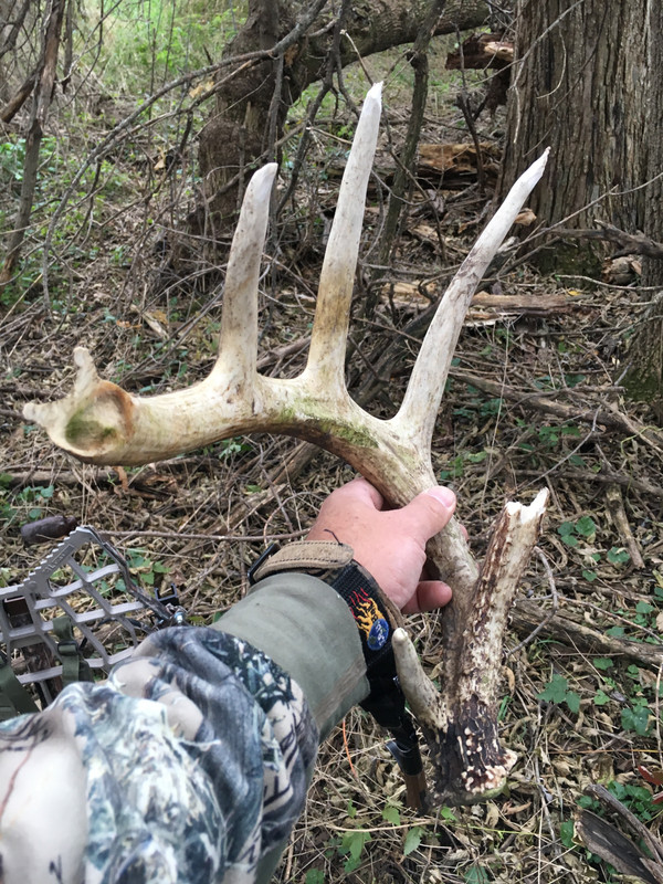 3972CA83-81DA-4EC6-B289-76C71EC982A9