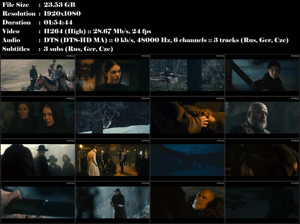 Temné údolí / Das finstere Tal (2014)