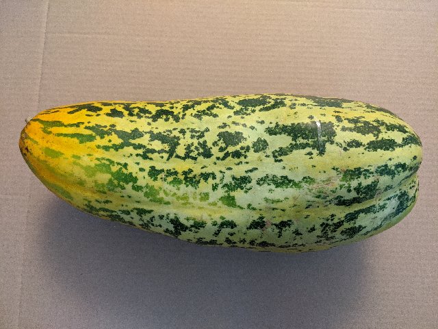[Image: IMG-20200523-151710.jpg]