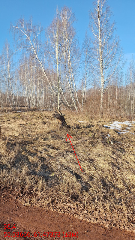 30 4 55 03666 61 47373 ( 3м) 01042026 083458