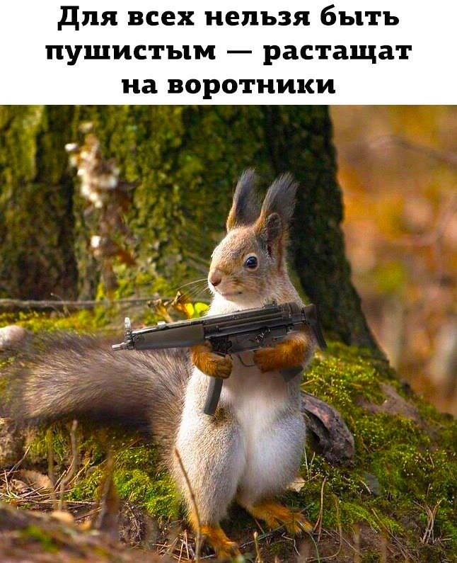 36990009_1917080458352553_7443391079467974656_n