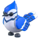 Blue Jay