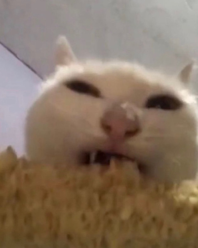 AD747D4D-B8C1-42BC-9896-B8C417EA2C26