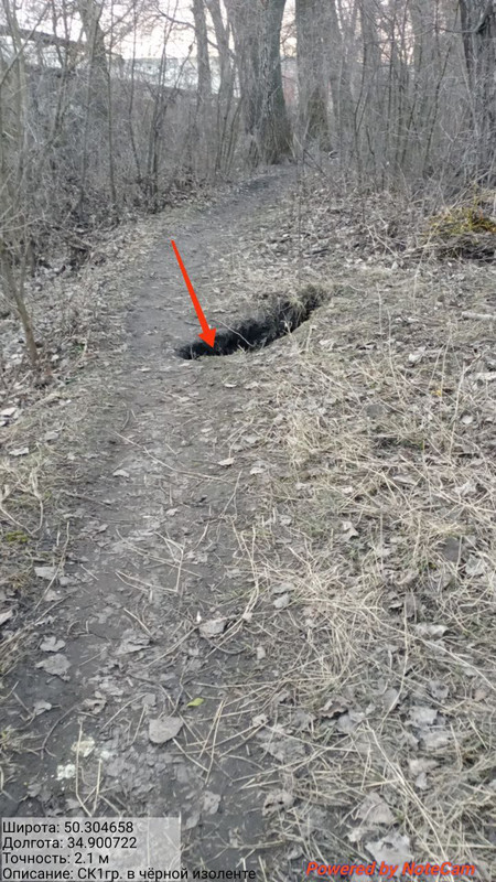 photo 2 2026 03 17 20 13 31