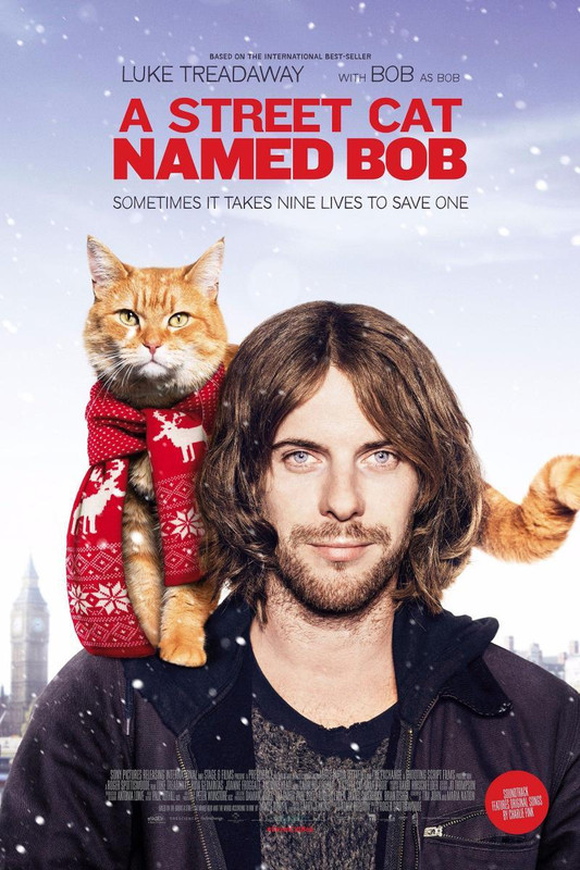 Un gato callejero llamado Bob Dvdrip Español (2016) Drama a street cat named bob 824066609 large - Un gato callejero llamado Bob Dvdrip Español (2016) Drama