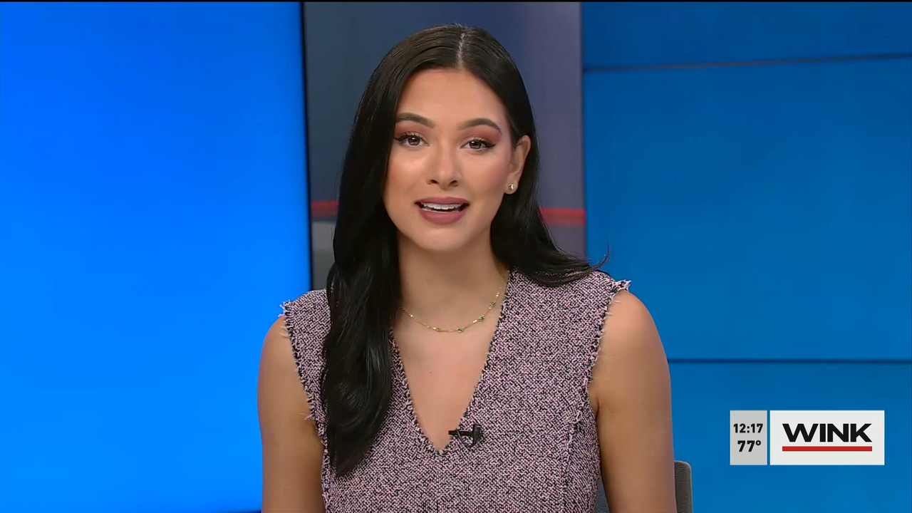 01.12 - 17.00.00 - The WINK Noon News  ᴺᵉʷ. Midday news update..ts_snapshot_23.23.316