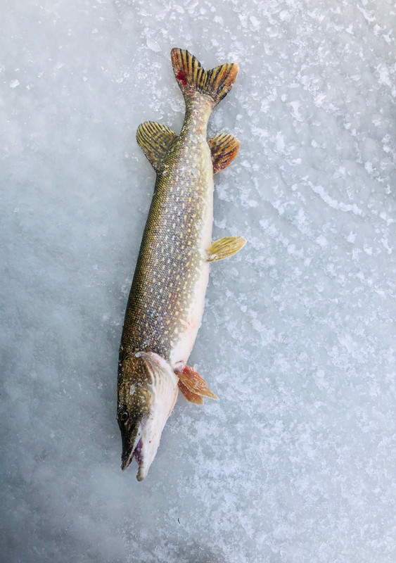 9D4E45BB-BA88-4695-90A5-D1DE4BDB12E4