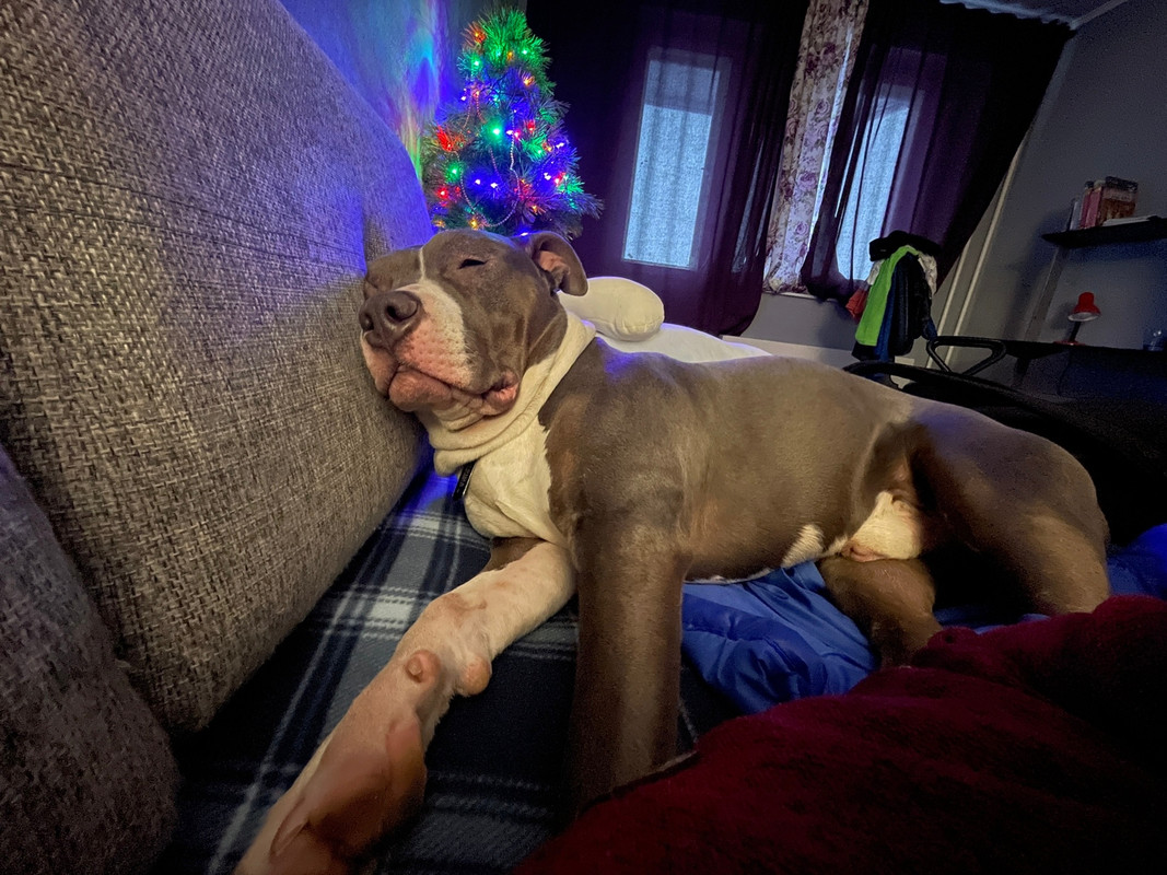 BEFB65B7-DE29-4632-B324-7086460876CD