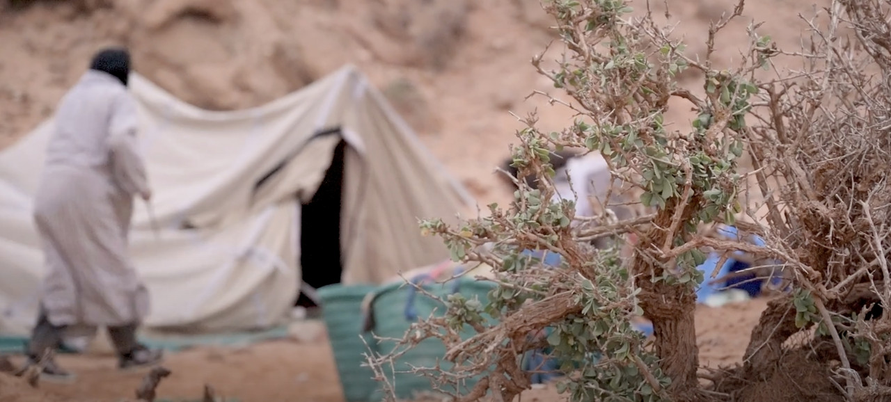 Esmara, un espejismo en el desierto - El Sahara Occidental (23)