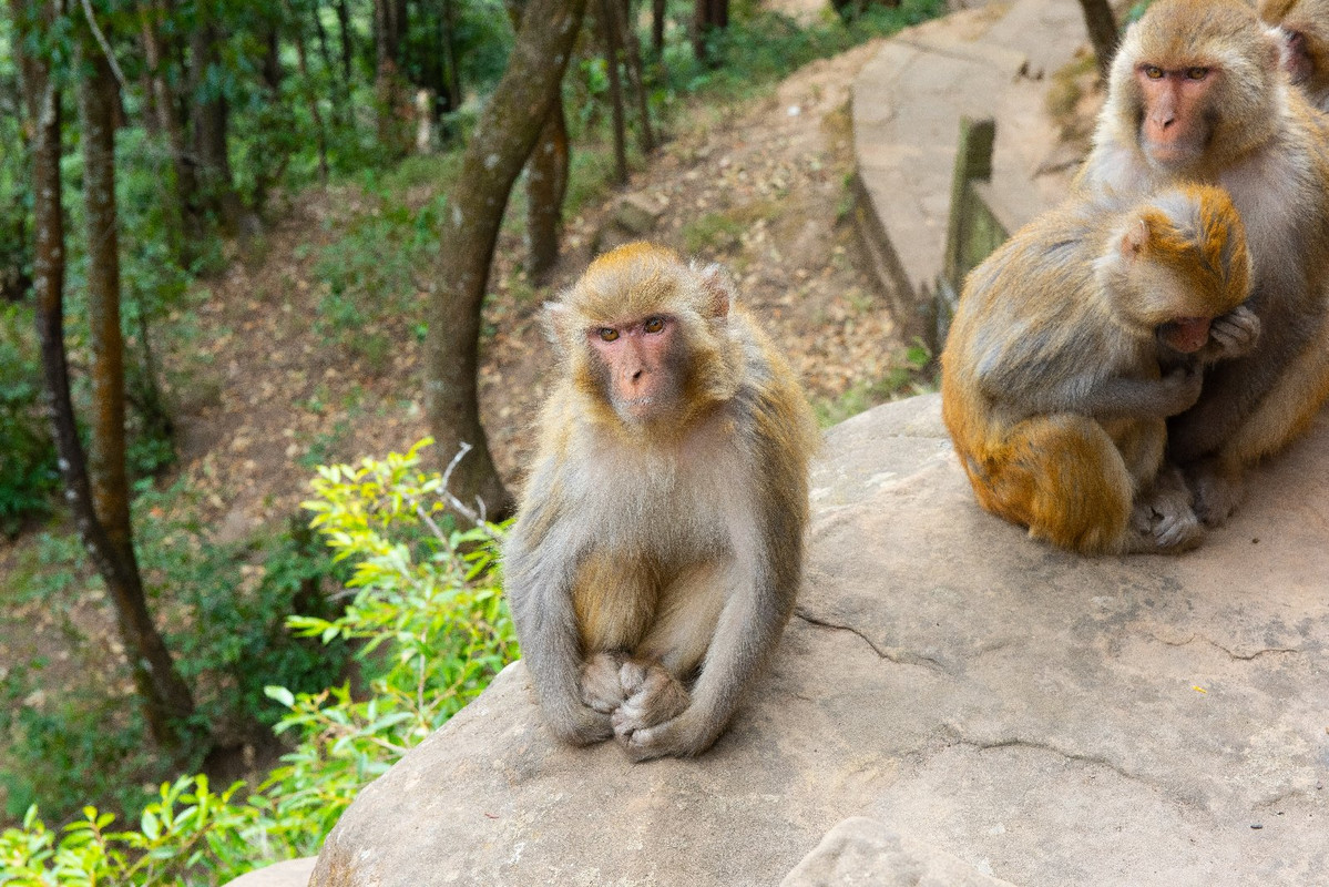 Yunnan 2019 - Blogs de China - Dia 4 - De camino a Lijiang (8)