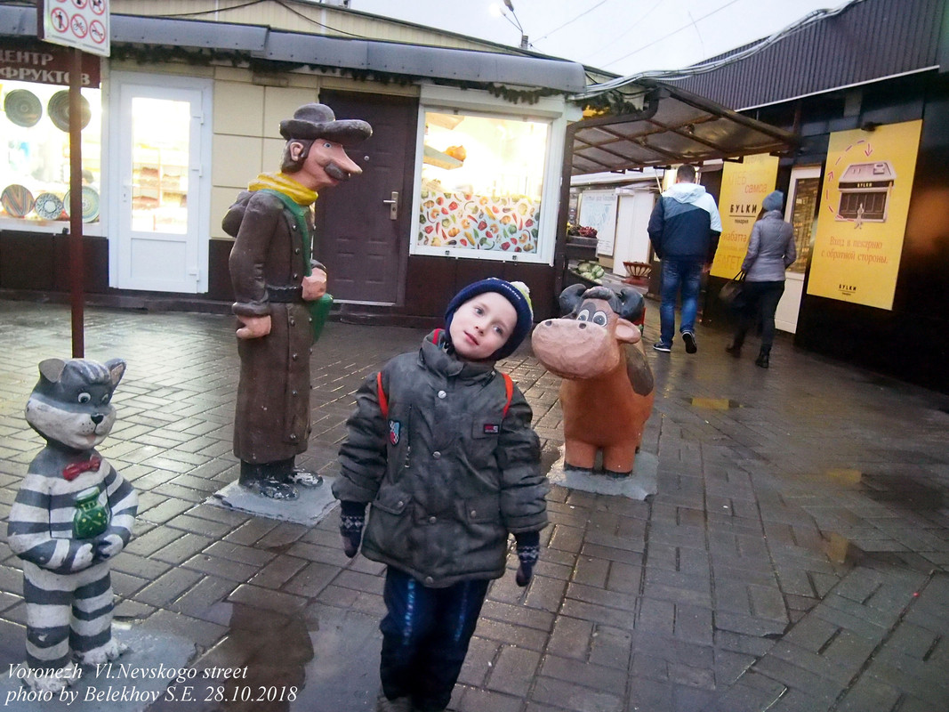 Воронеж, осень Воронеж, осень