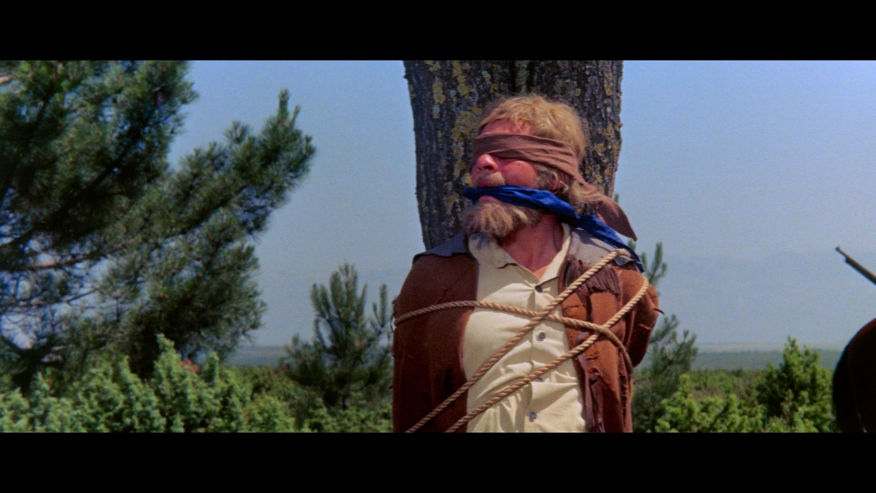 00003.mpls_snapshot_00.39.46_[2024.12.19_16.15.24]