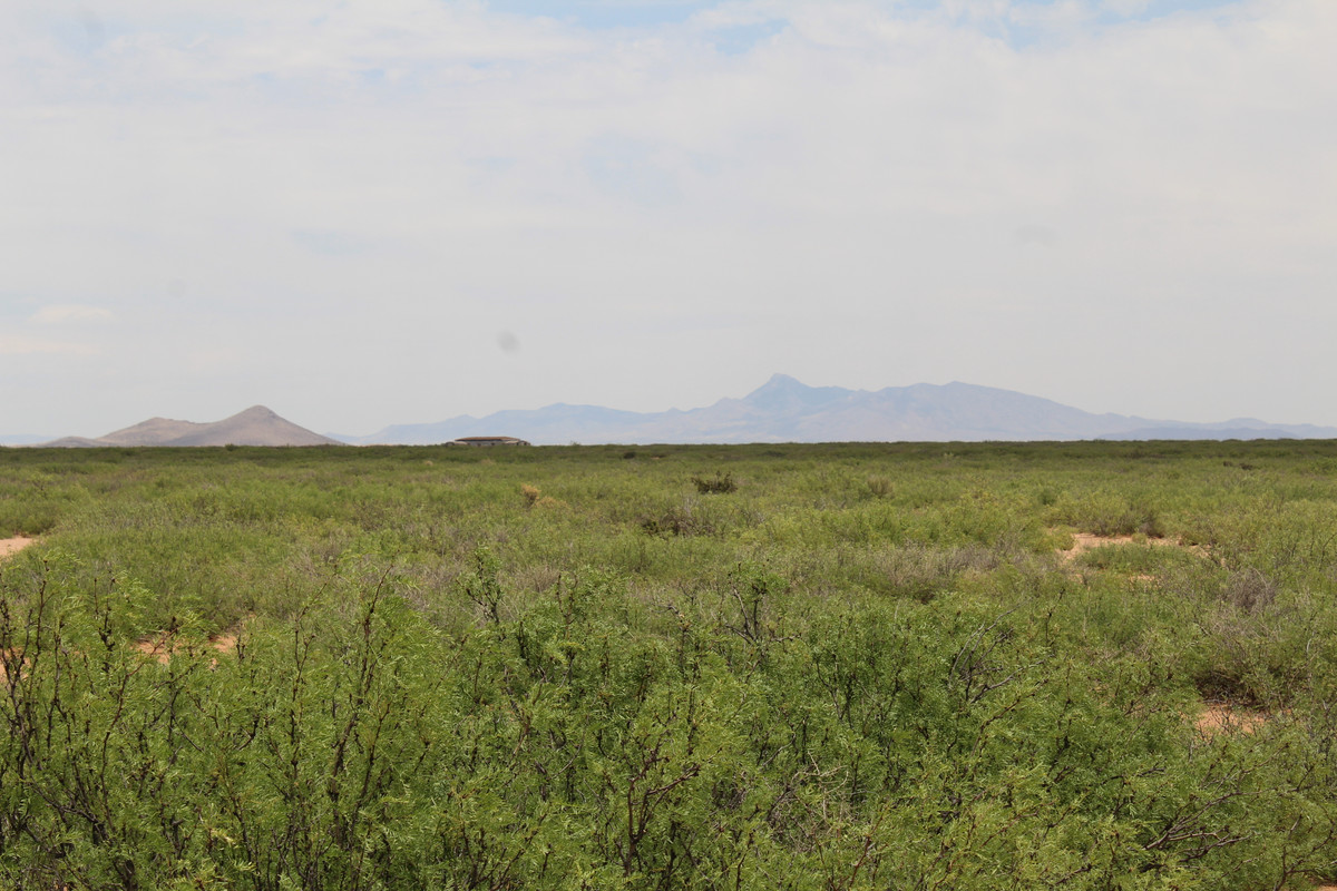 "Expansive 4.77 Acre Oasis Beckons in Horizon Ranches, West of Deming, NM!"