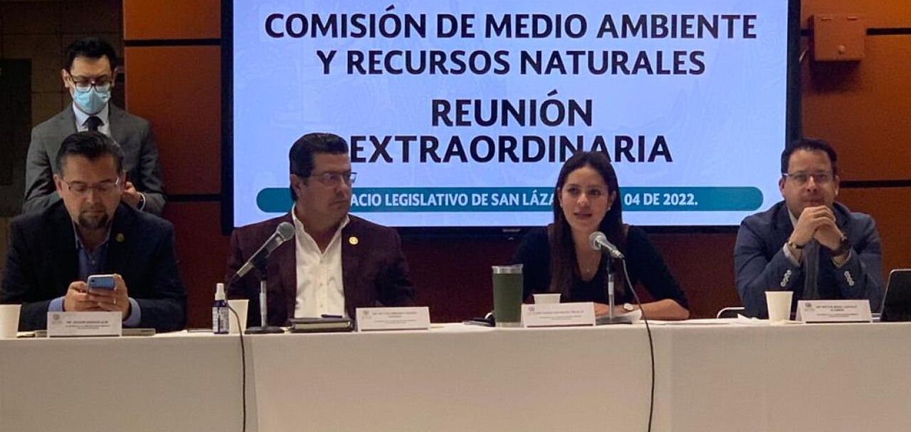 Reforma Eléctrica: Comisión de Medio Ambiente avala propuesta de AMLO